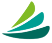carecredit healthcare financing fayetteville